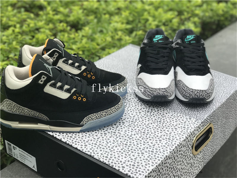 Air Jordan 3 X Air Max 1 Atmos Pack